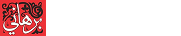 BurhaniSystems.com